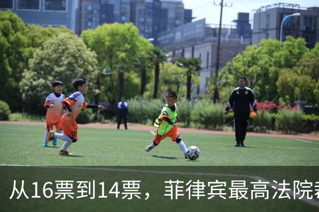 从16票到14票，菲律宾最高法院裁决引发的深层次误解