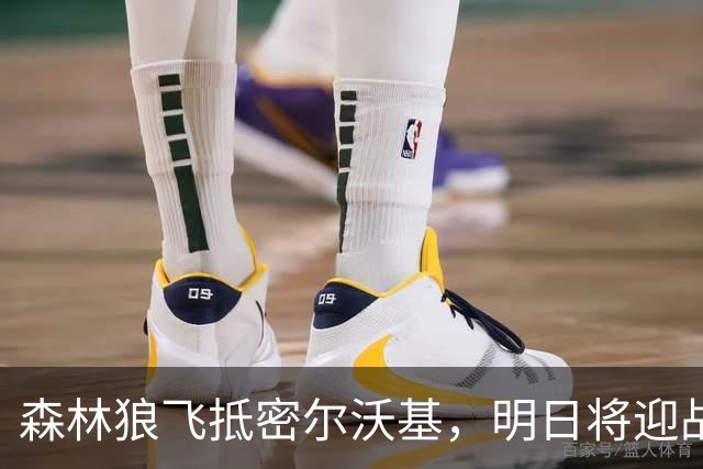 森林狼飞抵密尔沃基，明日将迎战雄鹿